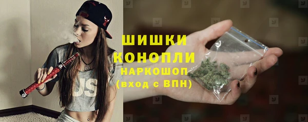 ГАЛЛЮЦИНОГЕННЫЕ ГРИБЫ Вязники