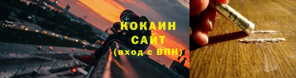 ГАЛЛЮЦИНОГЕННЫЕ ГРИБЫ Вязники