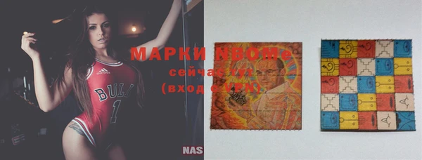 ГАЛЛЮЦИНОГЕННЫЕ ГРИБЫ Вязники