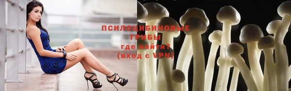 ГАЛЛЮЦИНОГЕННЫЕ ГРИБЫ Вязники