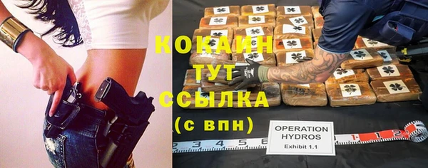 ГАЛЛЮЦИНОГЕННЫЕ ГРИБЫ Вязники
