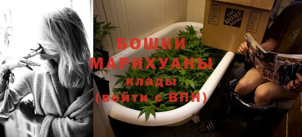 ГАЛЛЮЦИНОГЕННЫЕ ГРИБЫ Вязники