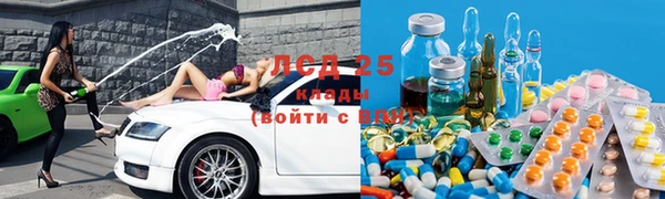 ГАЛЛЮЦИНОГЕННЫЕ ГРИБЫ Вязники