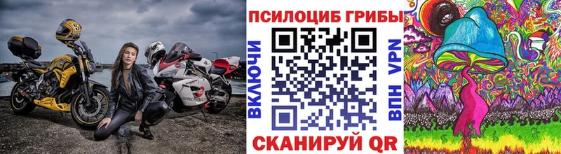 Галлюциногенные грибы Psilocybe Нефтекумск